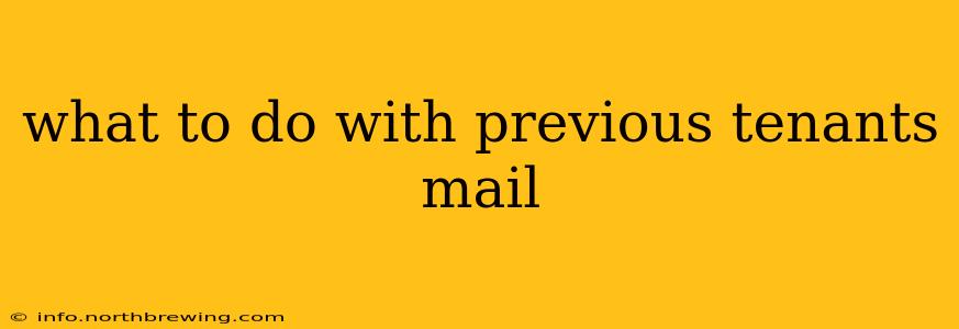 what to do with previous tenants mail