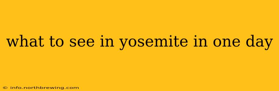 what to see in yosemite in one day