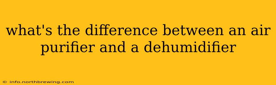 what's the difference between an air purifier and a dehumidifier