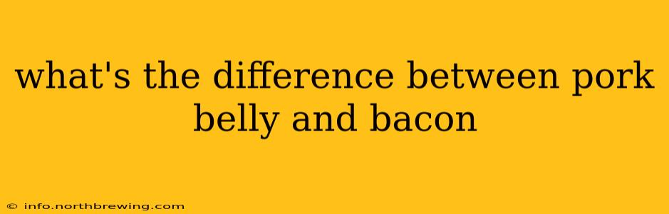 what's the difference between pork belly and bacon