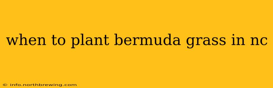 when to plant bermuda grass in nc