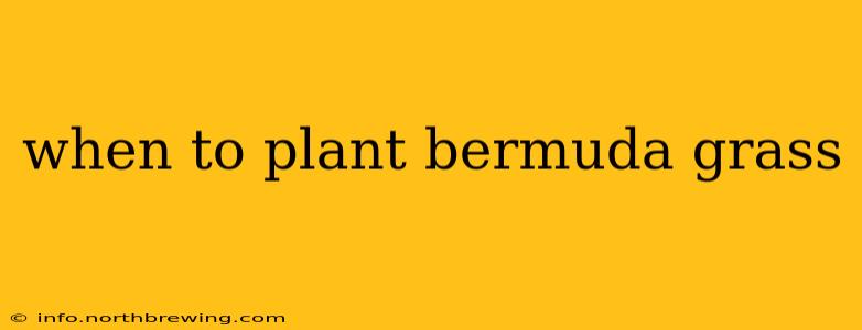 when to plant bermuda grass