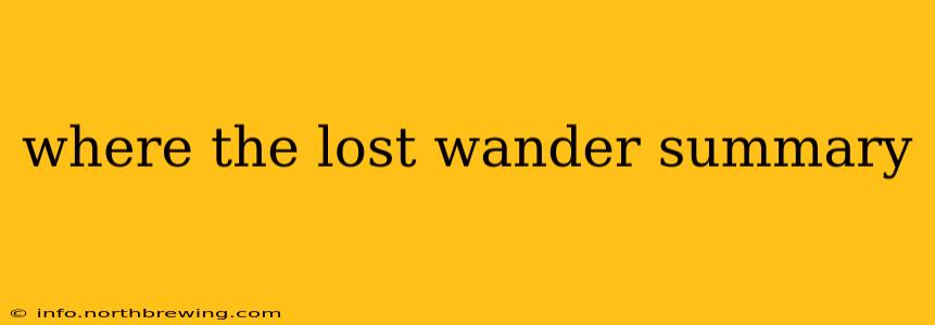 where the lost wander summary