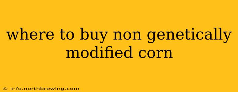 where to buy non genetically modified corn