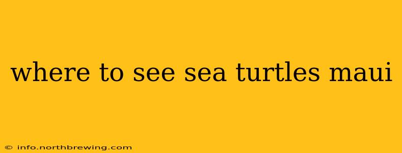 where to see sea turtles maui