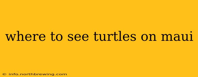 where to see turtles on maui