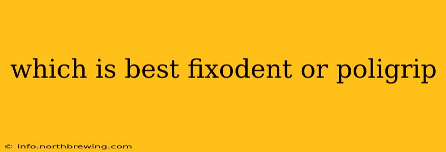 which is best fixodent or poligrip