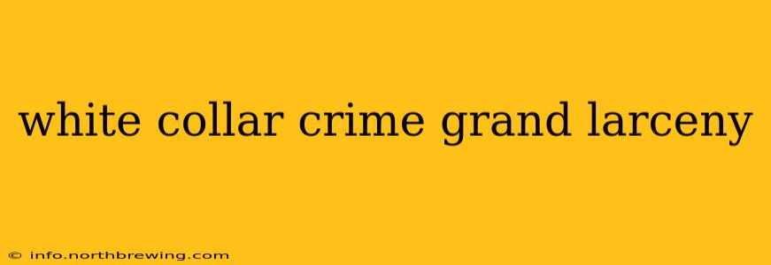 white collar crime grand larceny