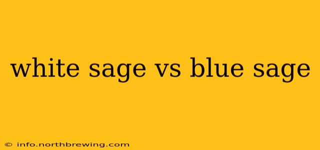 white sage vs blue sage