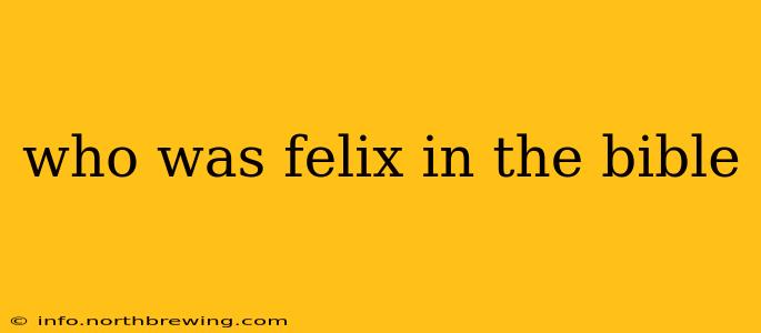 who was felix in the bible