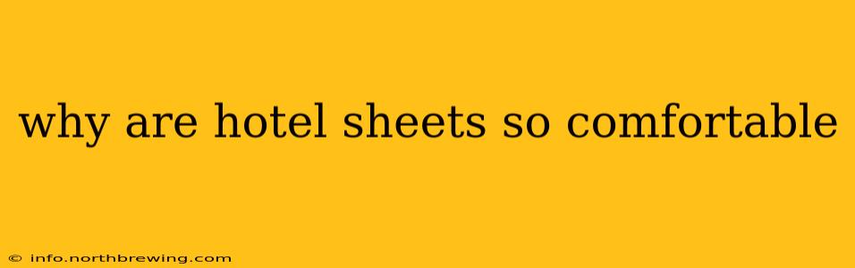 why are hotel sheets so comfortable