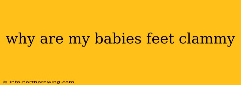 why are my babies feet clammy