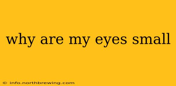why are my eyes small