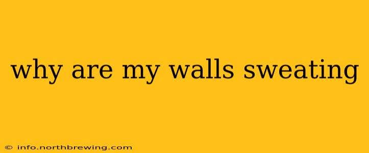 why are my walls sweating