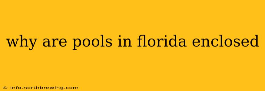 why are pools in florida enclosed