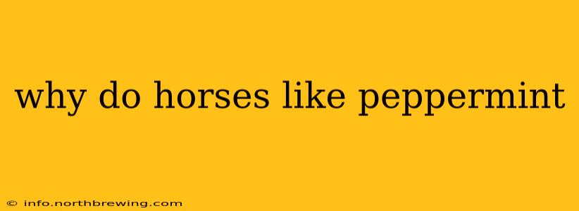 why do horses like peppermint