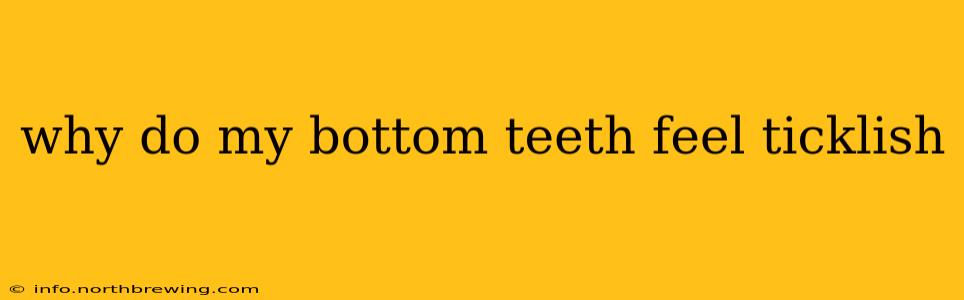 why do my bottom teeth feel ticklish