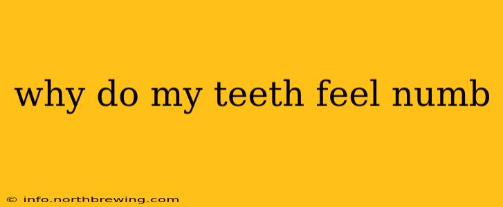 why do my teeth feel numb
