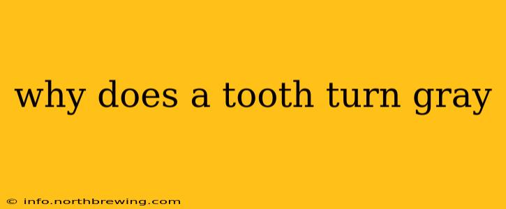 why does a tooth turn gray