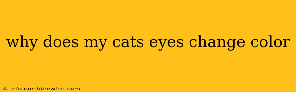 why does my cats eyes change color
