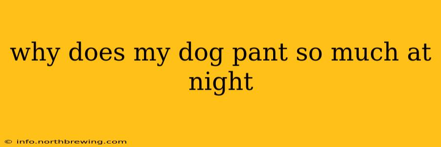 why does my dog pant so much at night