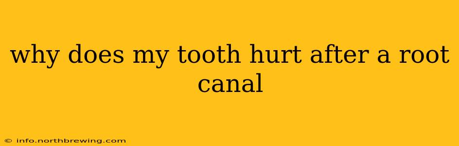 why does my tooth hurt after a root canal