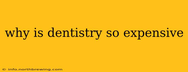why is dentistry so expensive