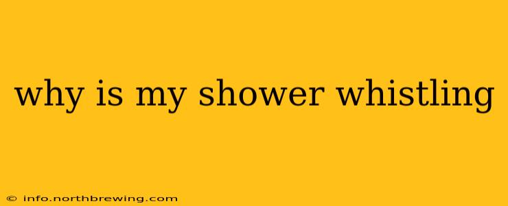 why is my shower whistling