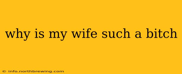 why is my wife such a bitch