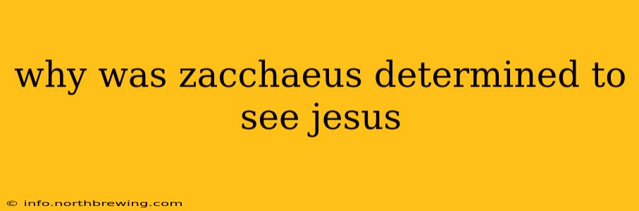 why was zacchaeus determined to see jesus
