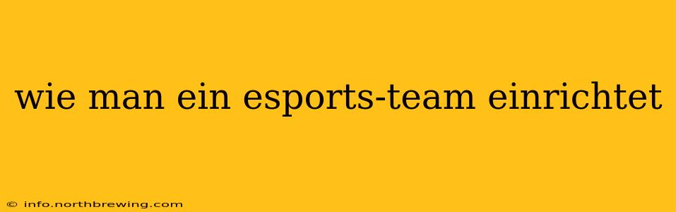 wie man ein esports-team einrichtet