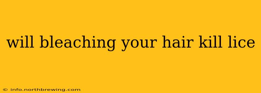 will bleaching your hair kill lice
