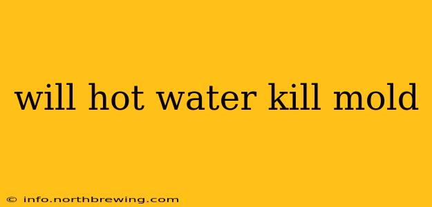 will hot water kill mold