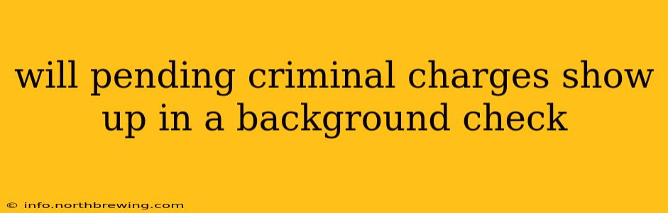 will pending criminal charges show up in a background check