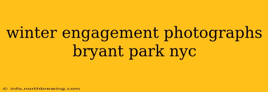 winter engagement photographs bryant park nyc