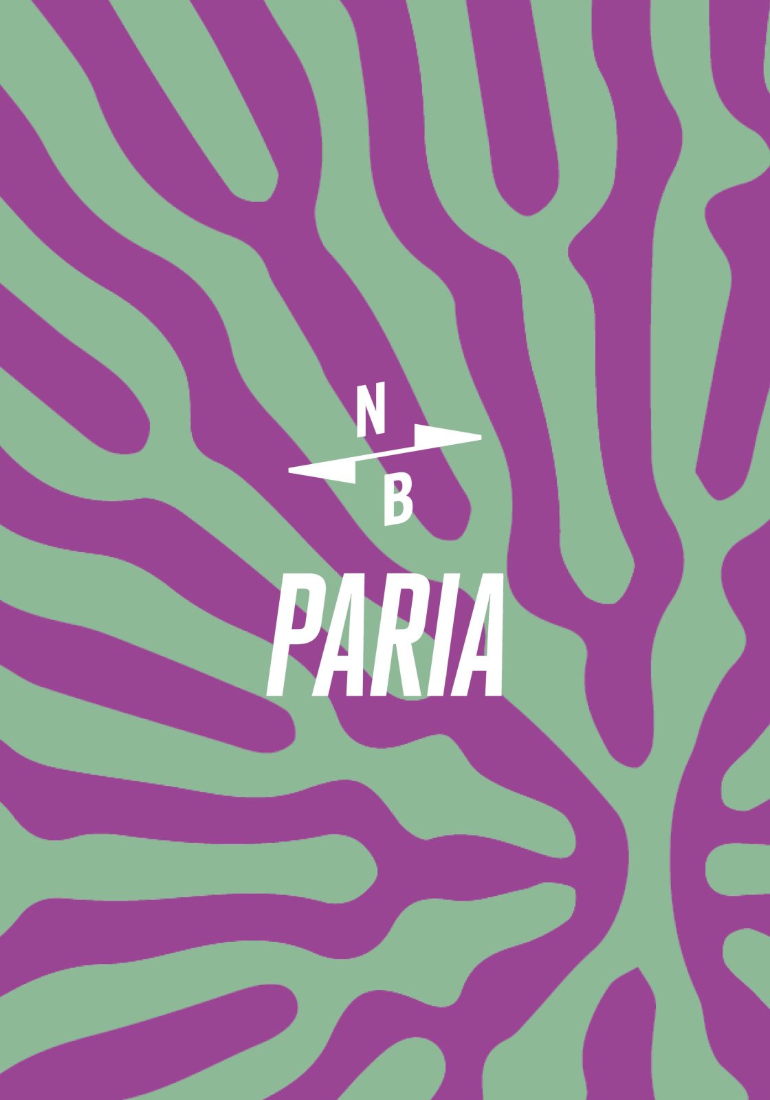 PARIA PAPERBOY 8.0